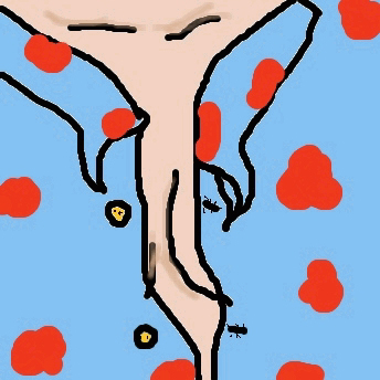 Blusenknopf