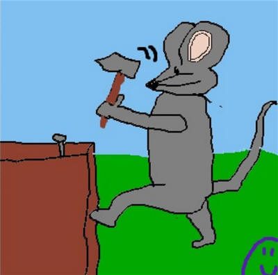 Klopfspitzmaus