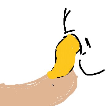 Senf