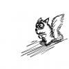 squirrel