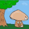 Champignon1