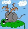 Hirschmaus