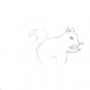 squirrel
