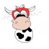 Mad Cow Disease