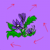 Violett by HappyHippo