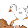 dig, beak, edge