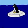 Pinguin