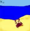 Strandkrabbe