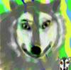 zwei Calus by mao & Calu