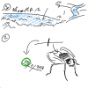 stream mayfly by Newbie-989