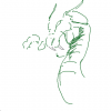 Drachen