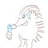 Igel
