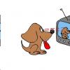 watchdog