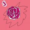 carnation