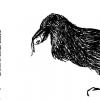 crow