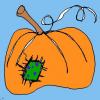 pumpkin patch