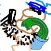 Vorheriges Bild