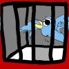 jail