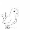 Vogel