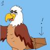 Keilschwanzadler