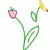 Obstblüte