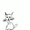 Katze