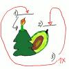 Weihnachtskerze, Avocado, Wort