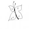 Next Sketch