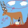 Hocheierantilope