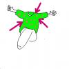 Pulli