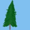 Tannenbaum