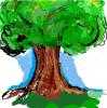 Baum