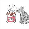 Katzenfutter