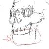 Next Sketch