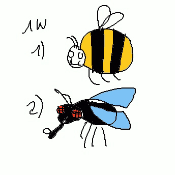 Hummelfliege