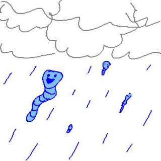Regenwurm